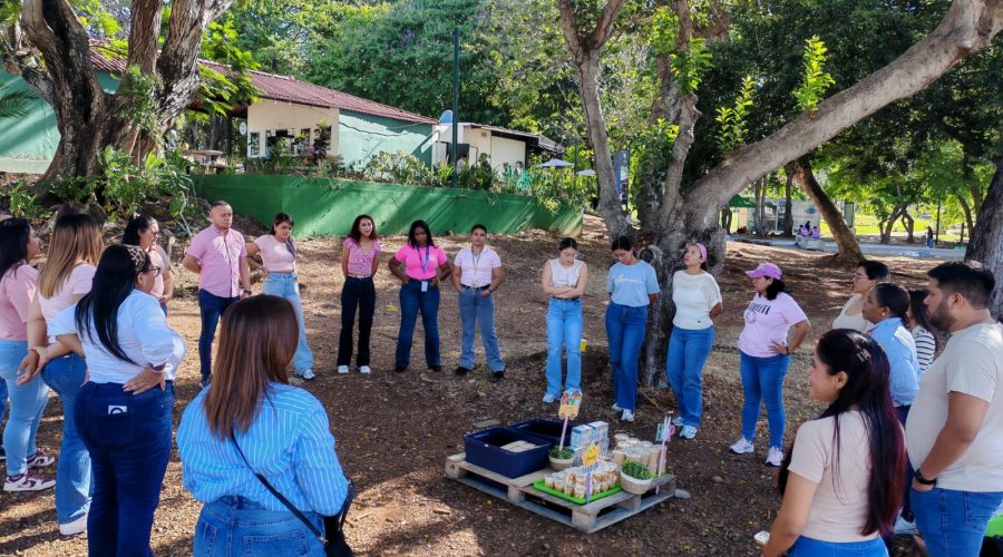 Soho actividad